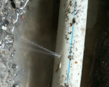 纳雍卫生间测漏水多少钱